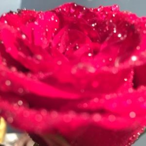 Meet your Posher, Micaela